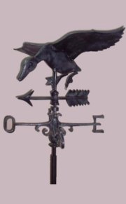 Veleta pato